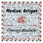 Juego de cuerdas para Hualaycho. Medina Artigas