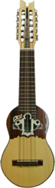 Charango Profesional tallado Armadillo