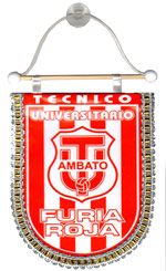 Banderola del Tcnico Universitario