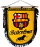 Medium Flag Barcelona Sporting Club