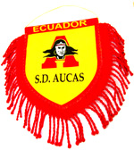 Mini - Banderola del Club Deportivo Aucas