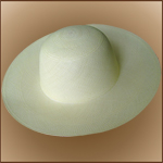Natural Brisa Panama Hat for women