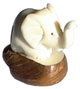 Tagua  Elephant with up trunk
