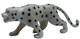 Tagua - Leopardo