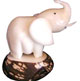 Tagua  Big elephant