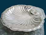 Shell centerpiece  bathed in Silver